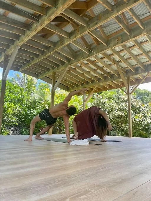 Eco-Farm Tropical Modern Loft Villa Pahoa