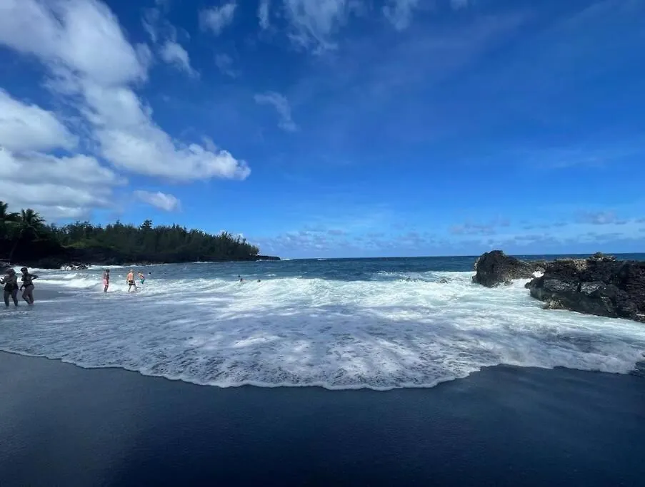 Eco-Farm Tropical Modern Loft Villa Pahoa ABD